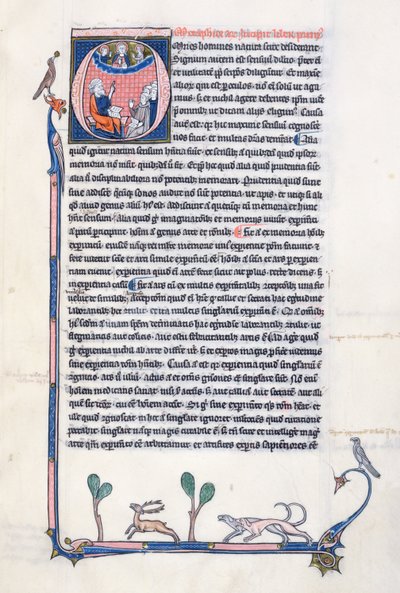 Ms 3458, historisk initial O, der forestiller den antikke græske filosof Aristoteles, der underviser en gruppe gejstlige fra Vesteuropa og peger opad mod Gud i himlen (pen & blæk og tempera) af French School