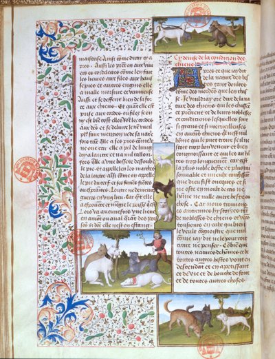 Ms 3717 Jagthunde, fra Livre de la Chasse af Gaston Phebus de Foix (1331-91) (vellum) af French School