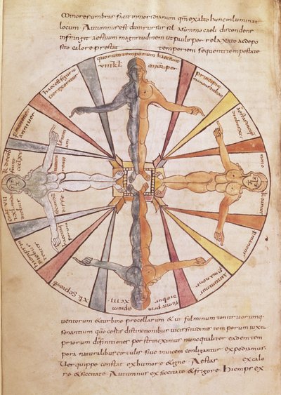 Ms 422 fol.6v Årstidernes og månedernes hjul, fra De Natura Rerum af St. Isidore af Sevilla af French School