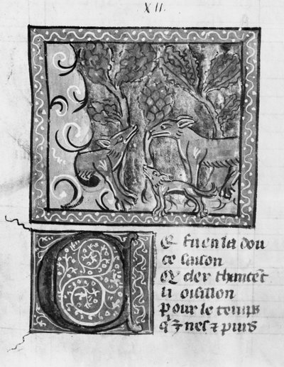 Fr 1580 Ræven, ulven og hunden, fra Le Roman de Renart af French School