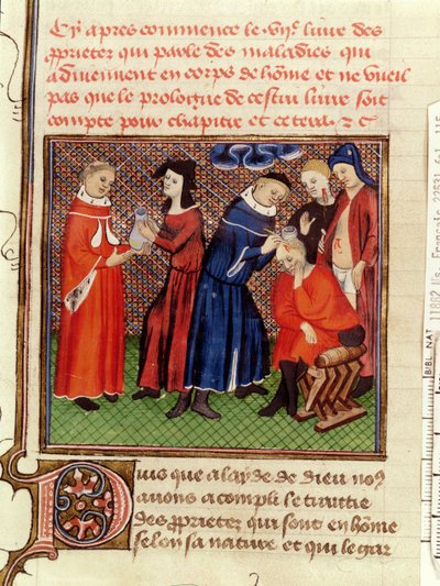 Ms Fr 22531 Fol.115 Urinundersøgelsen og heling af sår, fra Le Livre des Proprietes des Choses af Barthelemy lAnglais, ca. 1410-15 af French School