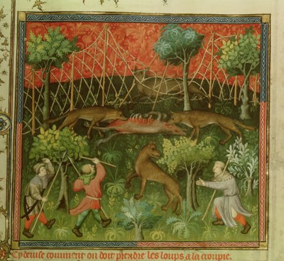 Fr 616 fol.111 Ulvejagt ved hjælp af net, fra Livre de la Chasse af Gaston Phebus de Foix (1331-91) af French School