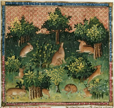 Fr 616 fol.24v Harer i en skov, fra Livre de la Chasse af Gaston Phebus de Foix (1331-91) af French School