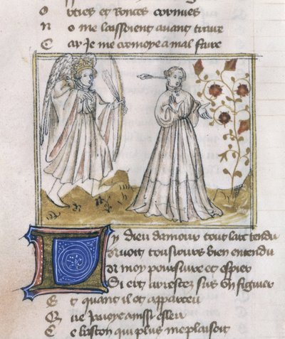 Ms Fr 805 fol.13v Illustration fra Le Roman de la Rose af French School