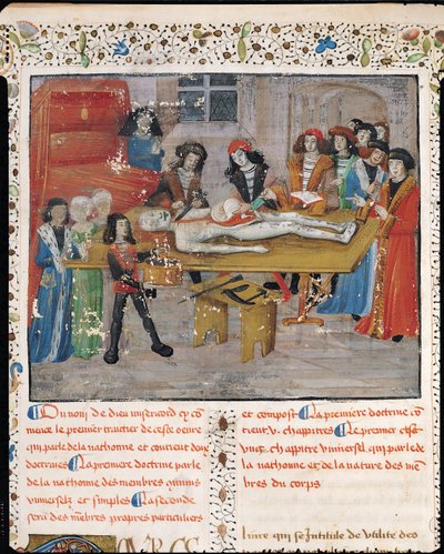 Ms H 184 fol.14v Dissektionslektion på det medicinske fakultet i Montpellier, fra "La Grande Chirurgie" af Guy de Chauliac, 1363 af French School