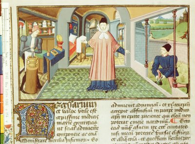 Ms Lat 6966 fol.154v Skæring af planter og klargøring af medicin, fra LAntidotaire af Bernard de Gordon af French School