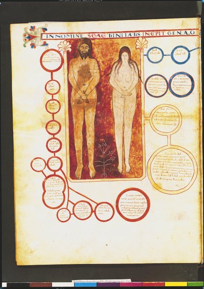 Ms Lat 8878 fol.5v Adam og Eva og Kristi genealogi, fra en kommentar til apokalypsen af den asturiske munk Beatus af Liebana (ca. 776) c.1028-72 af French School