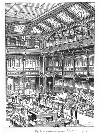 Naturhistorisk museum i Paris af French School