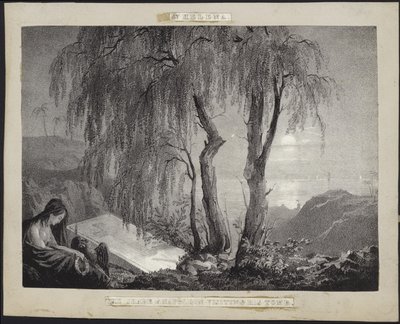 Napoleon Bonaparte besøger sin grav på St. Helena af French School
