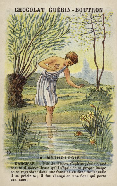 Narcissus af French School