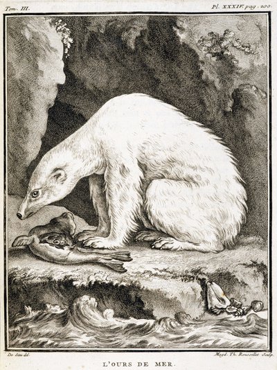 Naturhistorisk tavle: Havbjørnen æder en sæl - i "Naturhistorie, almindelig og speciel" af Buffon af French School