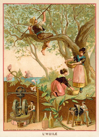 Olivenolie af French School