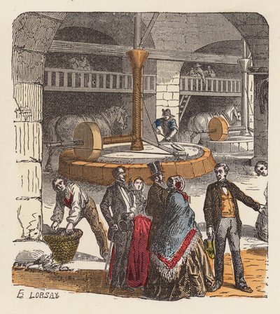 Olivenolieproduktion (farvet gravering) af French School