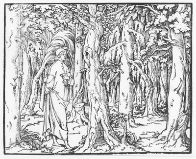 Side fra "Discourse on the Dream of Poliphile", af Francesco Colonna, 1546 af French School