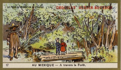 Passerer gennem en skov, Mexico (chromolitho) af French School