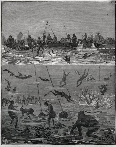 Perlefersken på Ceylon (nuværende Sri Lanka) i det 19. århundrede. Indgravering fra 1885 i "" Les arts et metiers illustres"" af Adolphe BITARD. af French School