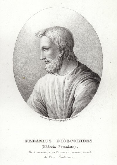 Pedanius Dioscorides af French School
