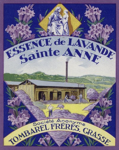Parfumemærke, Essence of Lavender af French School