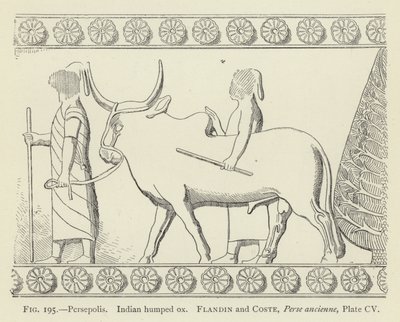 Persepolis, indisk pukkelokse af French School