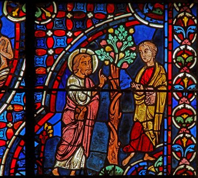 Philip, Nathaniel, figentræ (w0) af French School