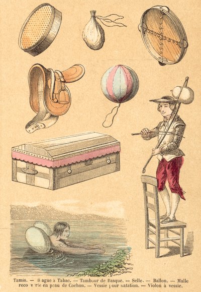 Schwein von French School