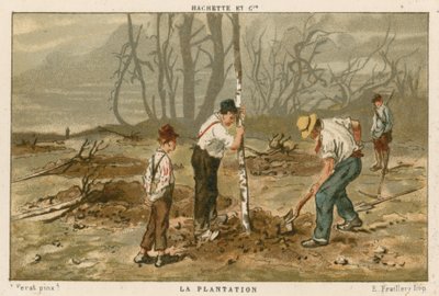 Plantning af træer af French School