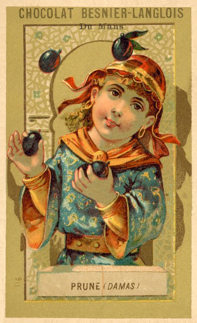 Blommer fra Damaskus (chromolitho) af French School