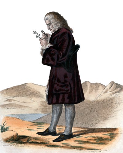 Portræt af Bernard de Jussieu (1699-1777), fransk naturforsker. af French School
