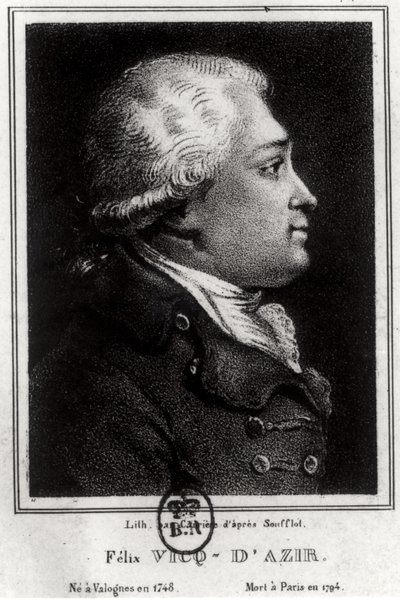 Portræt af Felix Vicq dAzyr (1748-94) af French School