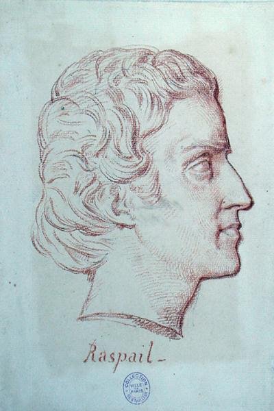 Portræt af Francois Vincent Raspail (1794-1878) (rødt kridt på papir) af French School