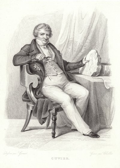 Portræt af George Cuvier af French School