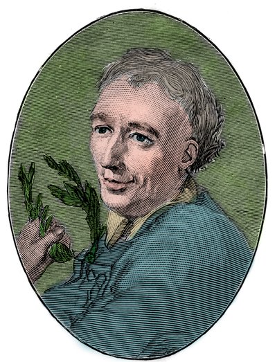 Portræt af Laurence Eusden (1688-1730) engelsk digter. af French School