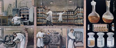 Forbereder serum til at bekæmpe tuberkulose, fra Les Animaux, ca. 1900 af French School