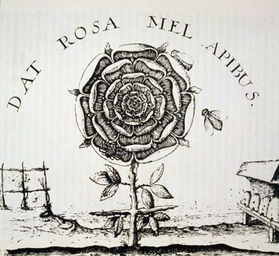 Rosicrucian Allegory, kopi af en gravering af Johann Theodore de Bry (ca. 1598), brugt i en History of Magic, udgivet sent i det 19. århundrede af French School