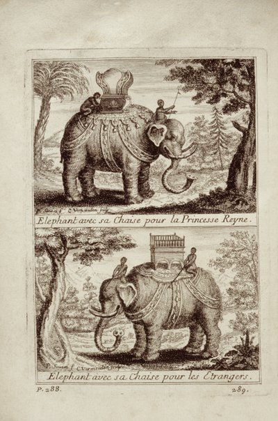 Kongelige elefanter, fra Voyage du Siam des Peres Jesuites af Guy Tachard, 1688 af French School