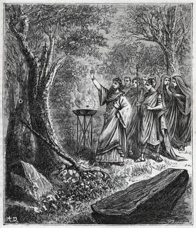 STRUFERTARI (fest i det gamle Rom for at rense de sprængte træer) - Indgravering i "" Videnskaber bragt til forståelse af alle - populær fysik og kemi"" af Alexis Clerc - Slutningen af det 19. århundrede. Privat samling. af French School