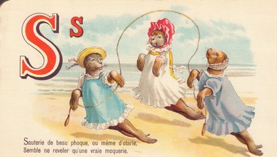 S: Sauté af smuk sæl, eller endda af sæler, synes kun at afsløre en ægte hån af French School