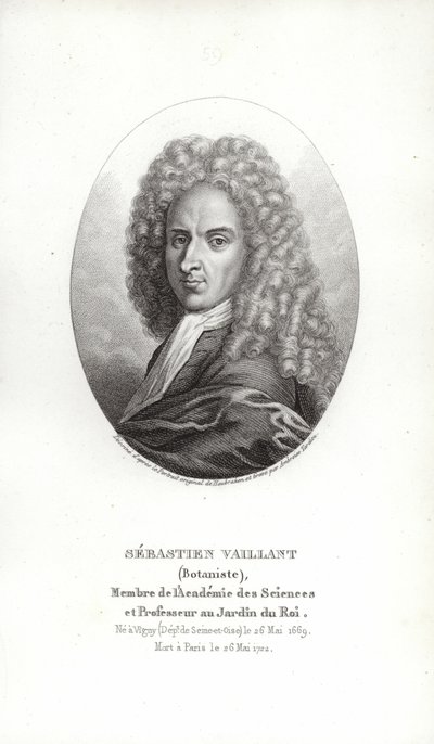 Sebastien Vaillant af French School