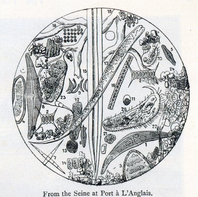 Sediment von Wasser aus der Seine bei Port a l
