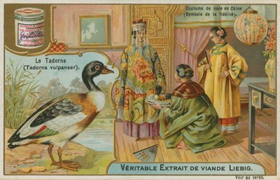 Shelduck; tilbydes som en bryllupsgave i Kina, hvor den betragtes som et symbol på troskab af French School