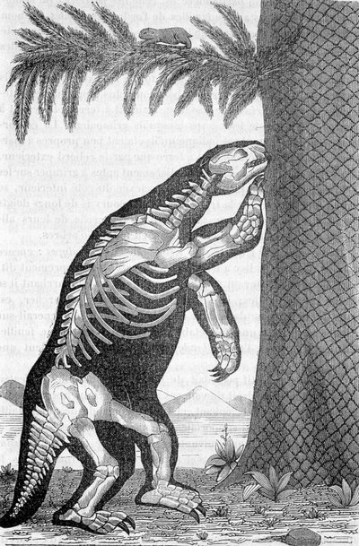 Skelet af megatherium - i "Verden før menneskets skabelse" af Camille Flammarion af French School