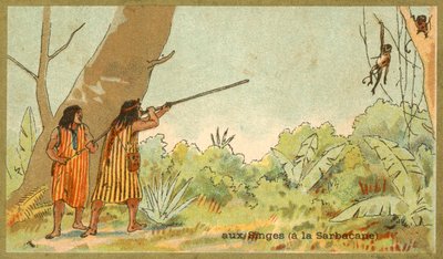 Sydamerikanske indianere, der jager aber med blæserør (chromolitho) af French School