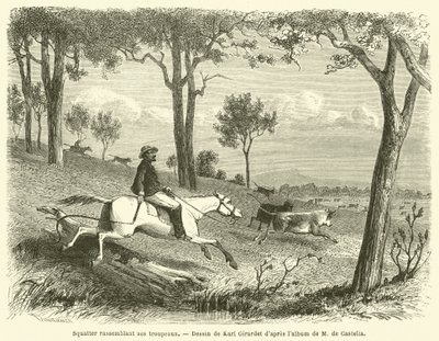 Squatter Gathering His Herds (gravering) af French School