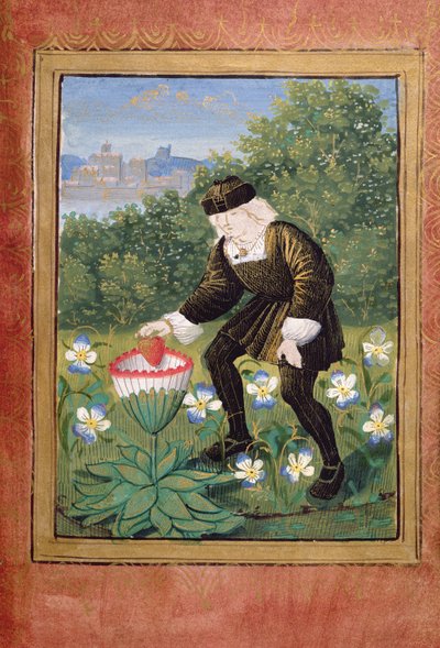 Stowe 955 ff.5v-6 Miniature af Pierre Sala, der taber 