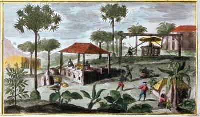 Sukkerproduktion i Vestindien, detalje fra 00155 - i "" Generel historie om Antillerne beboet af franskmændene af Du Tertre", tidligt i det 19. århundrede af French School