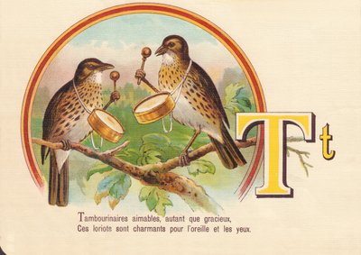 T: Tambourinarians venlige, så meget som yndefulde, Disse lorioter er charmerende for øret og øjnene af French School