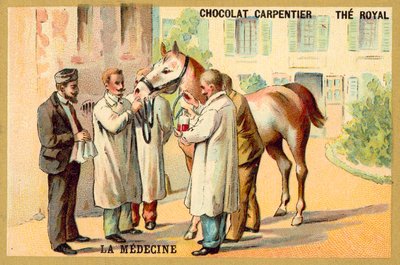 Tage blod fra en hest (chromolitho) af French School
