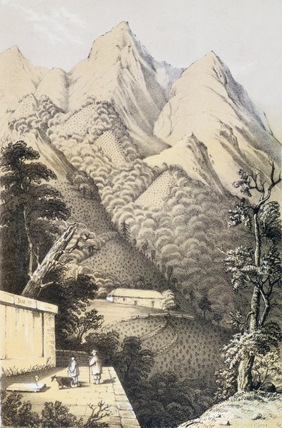 Teplantager i det grønne te-distrikt i Kina, taget fra En rejse til telandene i Kina, første gang udgivet 1852, af Robert Fortune (1812-1880) af French School