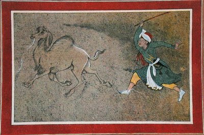 The Angry Camel Driver, illustration fra 