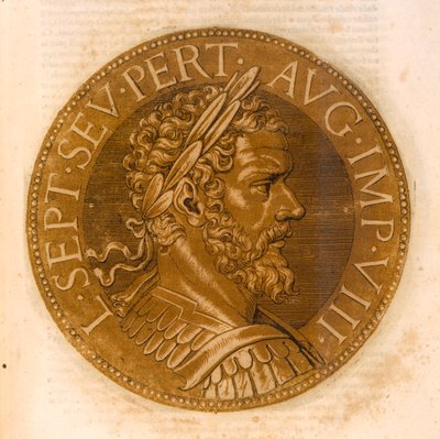 Kejser Lucius Septimius Severus af French School